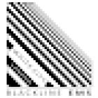 Blackline EMS Personal Training Gym