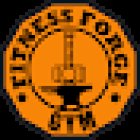 The Fitness Forge