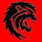 Roar Strength & Conditioning Gym & Fitness Club