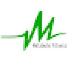 Metabolic Fitness Chiswick