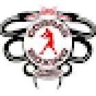 Cobras Boxing Academy