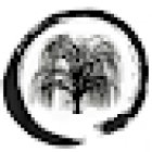 Willow Tree Aikido Club