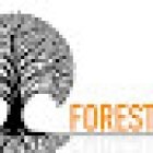 Forest Row Gym
