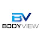 BodyView