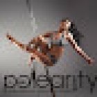 Polearity Pole Dance & Alternative Fitness