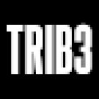 TRIB3 Nottingham