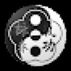 Combined Arts Wing Chun Kung Fu and Qigong Martial Arts School