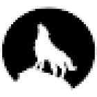 The Fitness Coach Ltd