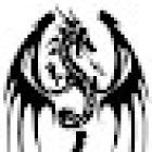 Fighting Dragons Karate Kickboxing Association