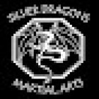 Silver Dragons Martial Arts