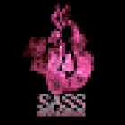 SASS REVOLUTION Home of the Pole Strap, Pole and Chair Fitness