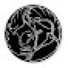 Be More Fitness Studio