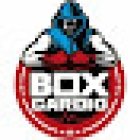 Box Cardio