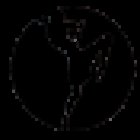 Toton Kickboxing Club