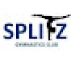 Splitz Gymastics Club Enniskillen