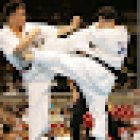 The Dojo Karate and Fitness Centre