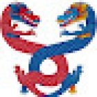 Canton Martial Arts - Eastbourne