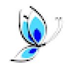 Blue Butterfly Studios