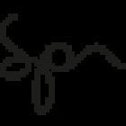 SPN Yoga Pilates Spin Classes Fitness