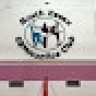 South Essex Gymnastics Club