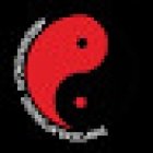 Meridian Kung Fu (UK)