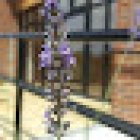 The Causeway Hall - Chiddingstone Causeway Arts and Social Centre