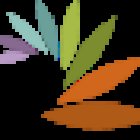 Bewsey & Dallam Community Hub