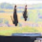 Lunar Gymnastics Club