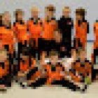 Little Tiger Cubs UKTC Taekwondo