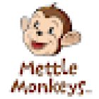 Mettle Monkeys Limited