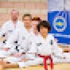 UKTC Taekwondo & Little Tiger Cubs