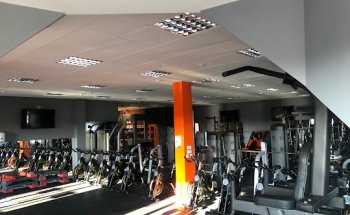 BTeam Fitness
