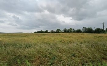 ScrewLooseConditioning