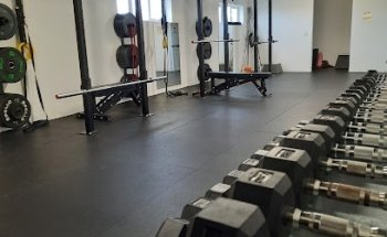 El fit gym