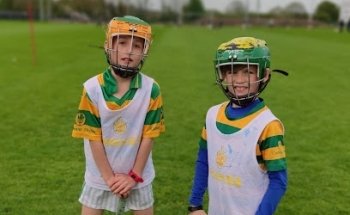 Blackrock National Hurling Club