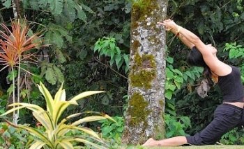 Yoga Killarney