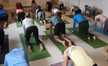Green Lotus Yoga