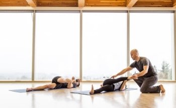 The Yoga Process