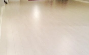 The Yoga Lounge