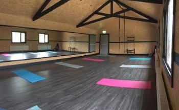 The Hot Fox Studio