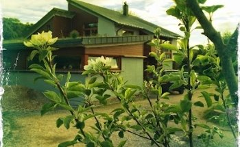 NADUIR Centre For Holistic Health H91 WTD3