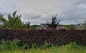 Julie Carolan Physical Therapy & Pilates