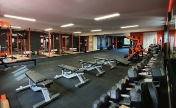 Atomic Fitness