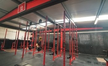 Declan Noonan Fitness
