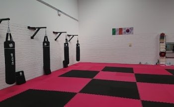 Leinster TaeKwonDo