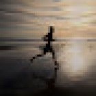 Cradock Performance & Injury