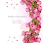 Wellness with Majella