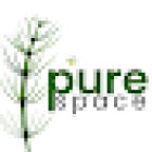 Pure Space