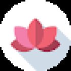 Mummys Tummy - Pregnancy Yoga and Barre Classes