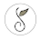 Seed and Blossoms Wellness